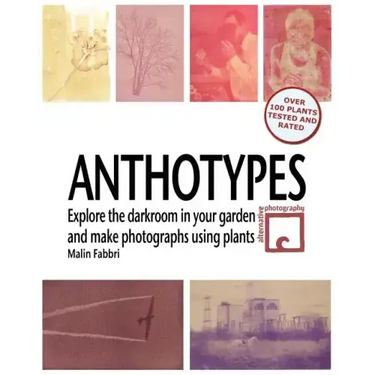 Anthotypes: Explore the darkroom in your garden and make photographs using plants