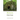Bomarzo