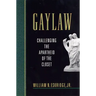Gaylaw: Challenging the Apartheid of the Closet