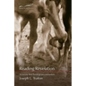 Reading Revelation: A Literary and Theological Commentary