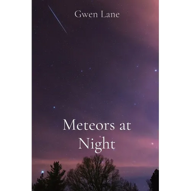 Meteors at Night