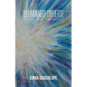 Illuminated Universe: A View from The Source