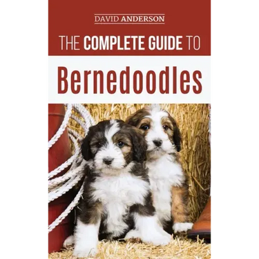 The Complete Guide to Bernedoodles: Everything you need to know to successfully raise your Bernedoodle puppy!