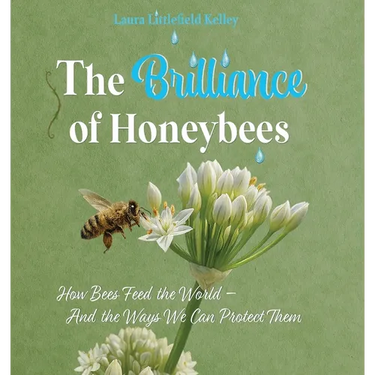 The Brilliance of Honeybees: How Bees Feed the World, And the Ways We Can Protect Them