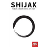 Shijak: To Begin: A Modern Martial Arts Story