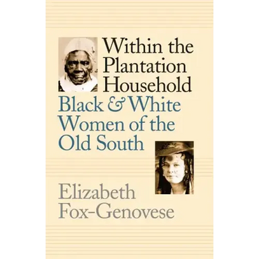 Within the Plantation Household: Black and White Women of the Old South