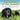 The Secrets of the Animals: Inside Your Amazing Neighborhood