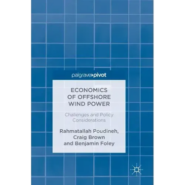 Economics of Offshore Wind Power: Challenges and Policy Considerations