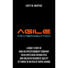 Agile Transformation: A Brief Story of How an Entertainment Company Developed New Capabilities and Unlocked Business Agility to Thrive in an