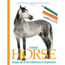 Isolated Horse Images for Artist's Reference and Inspiration