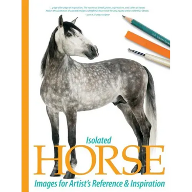 Isolated Horse Images for Artist's Reference and Inspiration