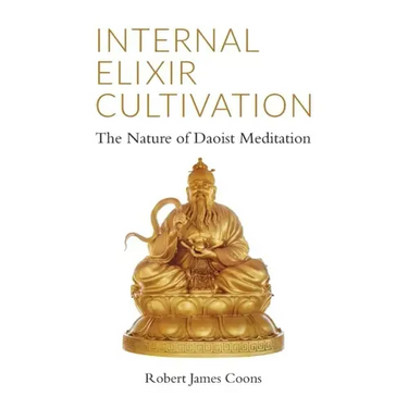 Internal Elixir Meditation: The Nature of Daoist Meditation