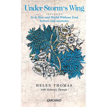 Under Storm's Wing