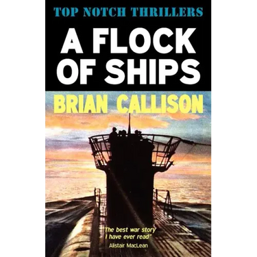 A Flock of Ships