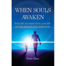 When Souls Awaken; Real-life accounts of past-life and life-between-lives regressions