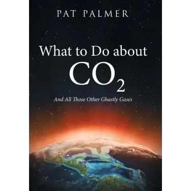 What to Do About Co2: And All Those Other Ghastly Gases
