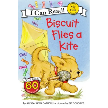 Biscuit Flies a Kite