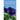 Pascal's Pensees