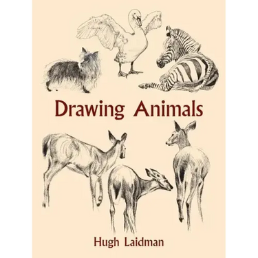 Drawing Animals