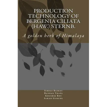 Production Technology of Bergenia ciliata (Haw.) Sternb.: A golden herb of Himalaya