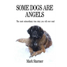 Some Dogs Are Angels: The most extraordinary true story you will ever read