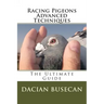 Racing Pigeons Advanced Techniques: The Ultimate Guide