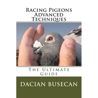 Racing Pigeons Advanced Techniques: The Ultimate Guide