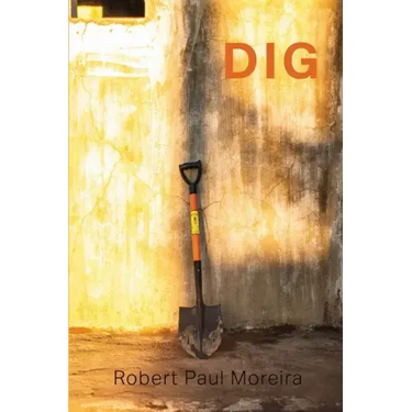 Dig