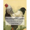 Brahma Chickens: From The Book of Poultry