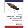 Domestication & Production of BSF Hermetia Illucens