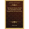 The Spinal Column, World Tree, Kundalini And The Sympathetic Nervous System