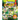 Great Cricket Colour In Compendium