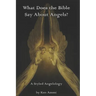 What Does the Bible Say About Angels?: A Styled Angelology