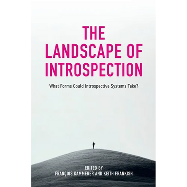 The Landscape of Introspection: What Forms Could Introspective Systems Take?