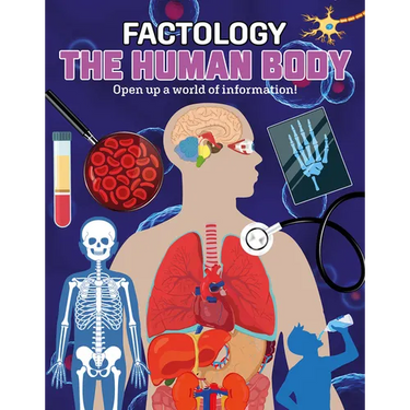 Factology: The Human Body: Open Up a World of Information!