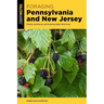 Foraging Pennsylvania and New Jersey: Finding, Identifying, and Preparing Edible Wild Foods