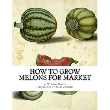 How to Grow Melons For Market