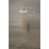 Where is God in all this?: 2021 Guided Journal for Lent