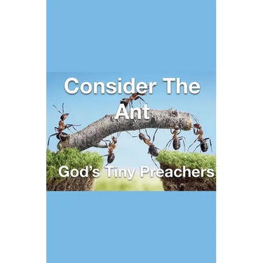Consider The Ant - God's Tiny Preachers