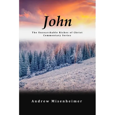 John: The Unsearchable Riches of Christ Commentary Series
