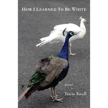 How I Learned to Be White