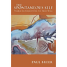 The Spontaneous Self: Viable Alternatives to Free Will