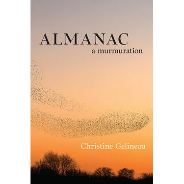 Almanac: A Murmuration