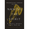 Naming the Spirit: Pneumatology Through the Arts