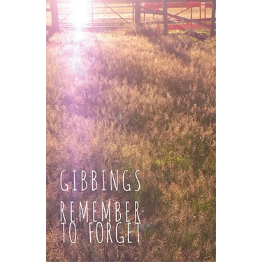 Remember to Forget