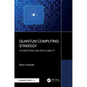 Quantum Computing Strategy: Foundations and Applicability