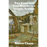 Two Years and Four Months in a Lunatic Asylum
