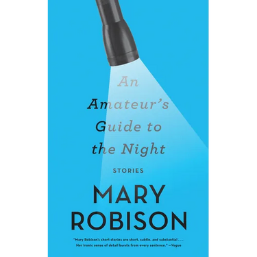 An Amateur's Guide to the Night: Stories