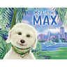 My Little Max: The Gift of Friendship