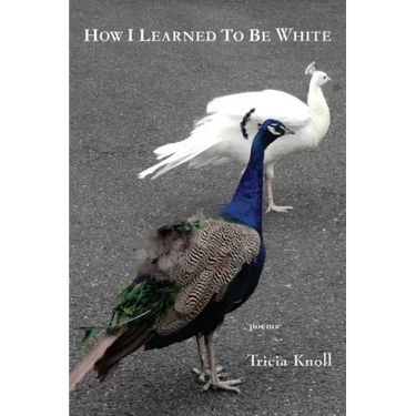 How I Learned to Be White